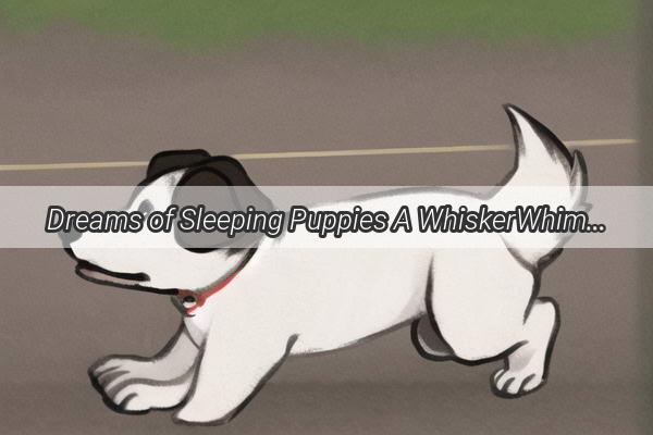 Dreams of Sleeping Puppies A WhiskerWhimsical Journey into the Dreamy World of Canine Dreams